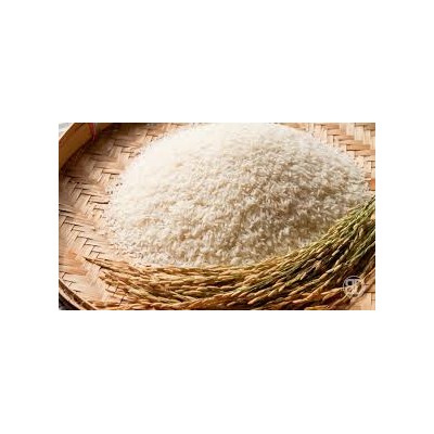 Long Grain White rice 5% broken