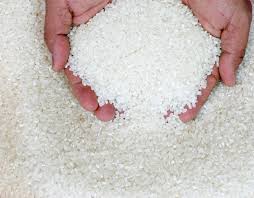 Long Grain White rice 5% broken