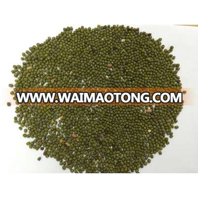 Tanzania Green Mung Bean